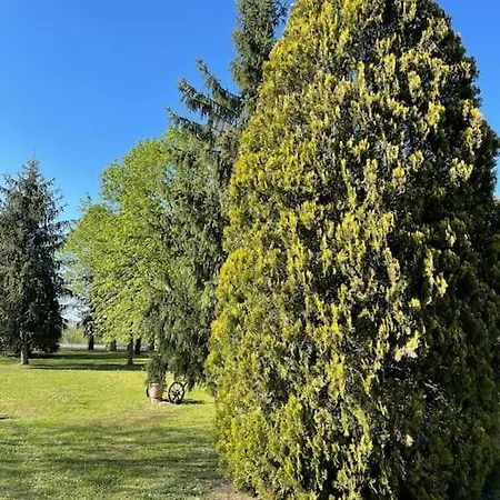 La Cassina: Accogliente In Campagna Lejlighed Spilamberto