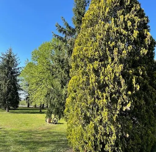 La Cassina: Accogliente In Campagna شقة سبيلامبيرتو